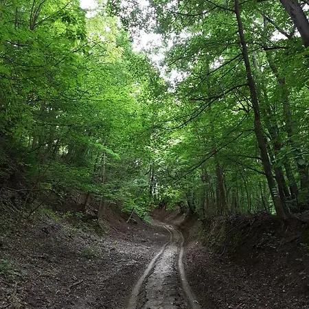 Zselic Szive Paraszthaz Konukevi 3*